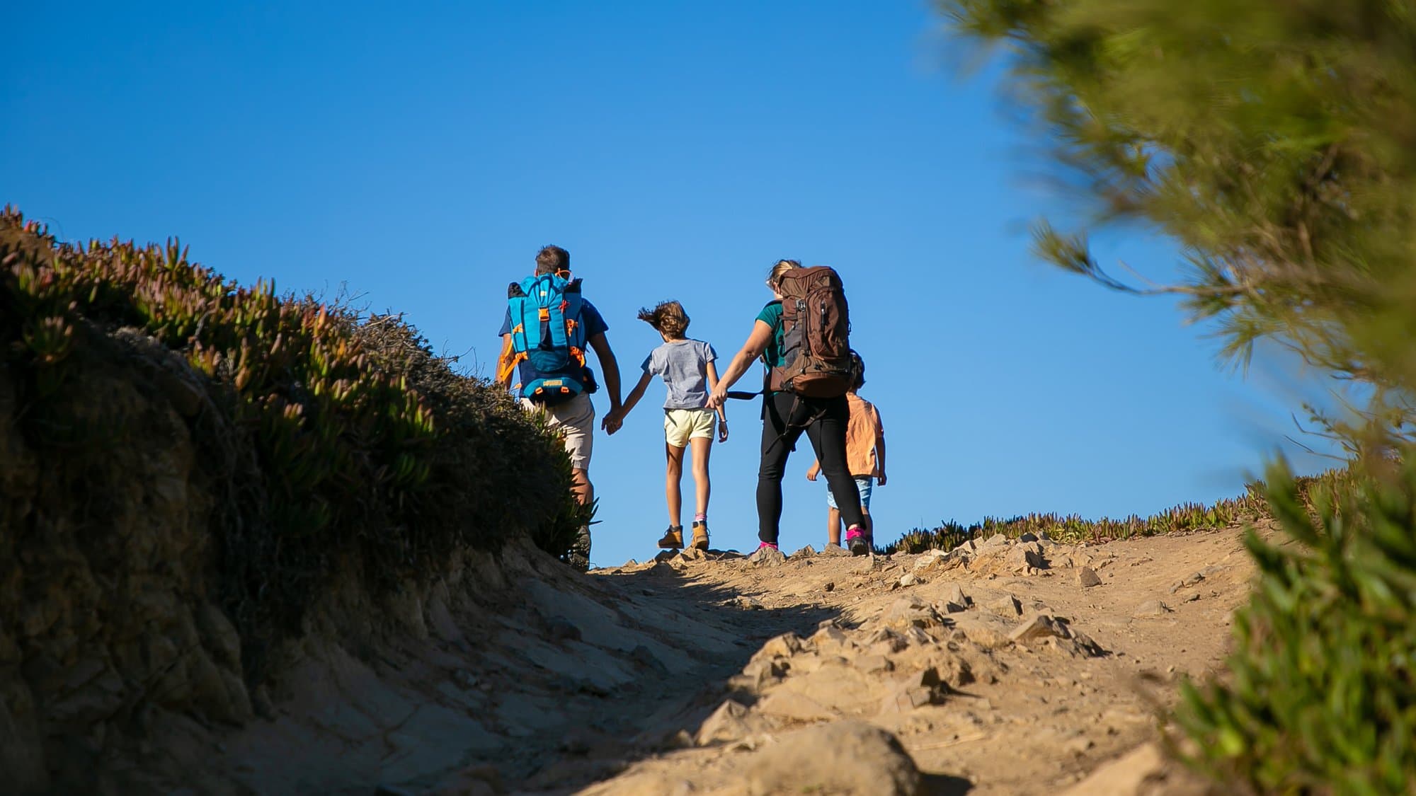 Hikers on the Great Ocean Walk highlights