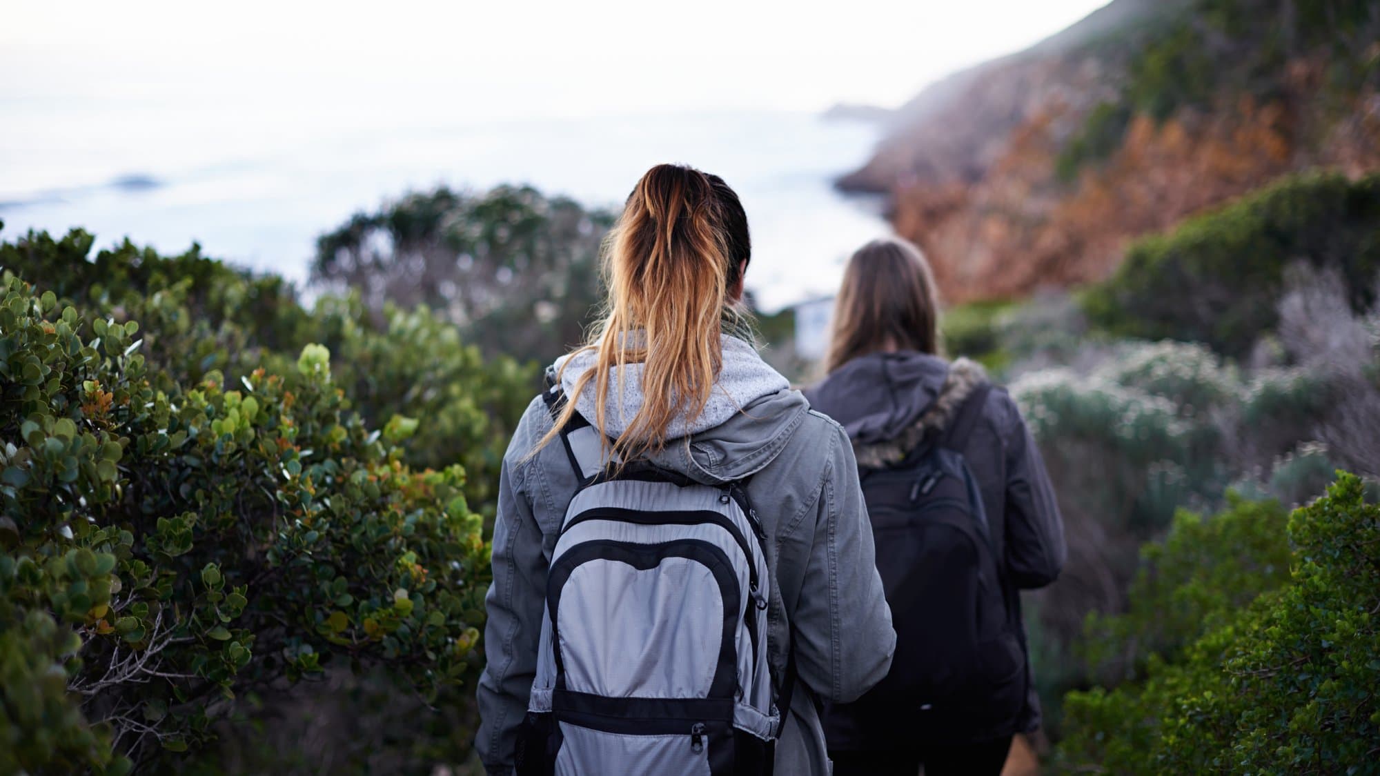 Hikers on coastal trail with ocean views